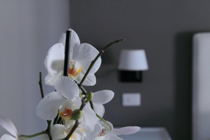 B&B Le Biciclette ซานวิโต โลคาโป ห้อง รูปภาพ